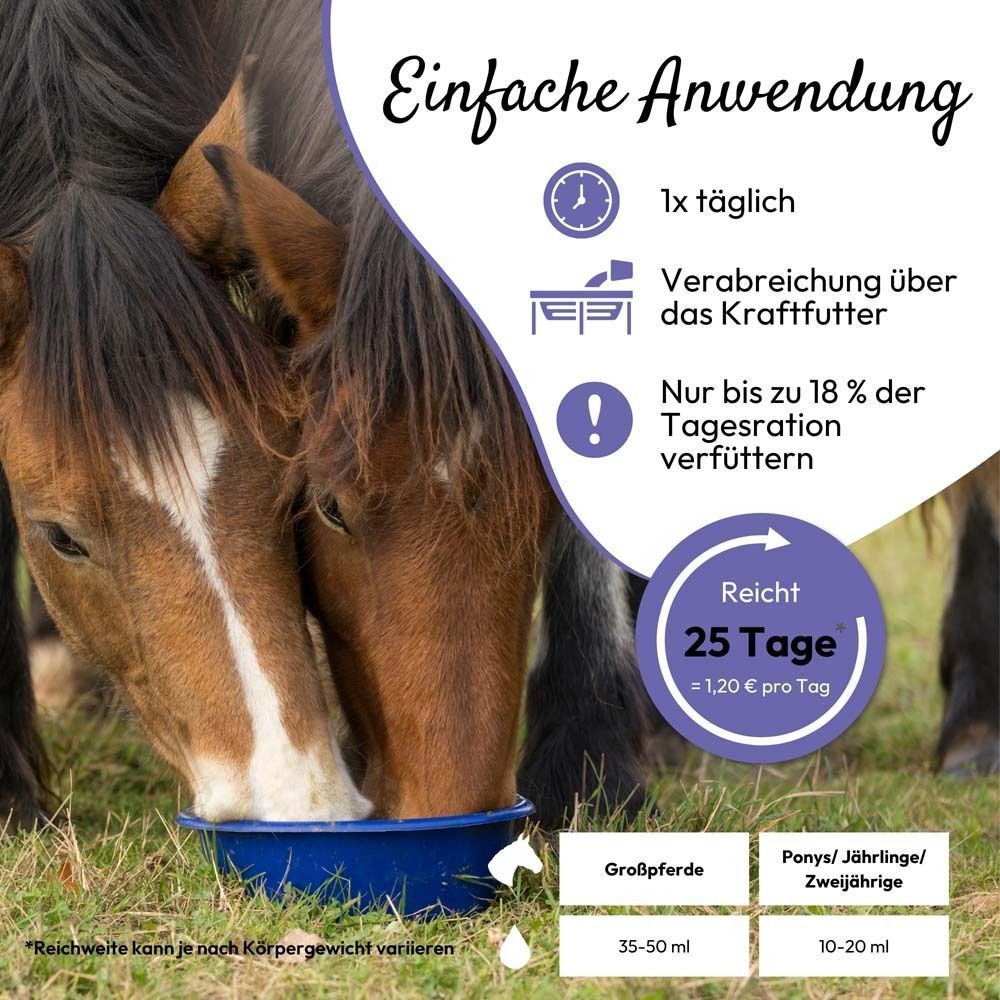 Pferde fressen aus einer blauen Schüssel. Text über Anwendung: 1x täglich, 25 Tage. Dosierung für Pferde.