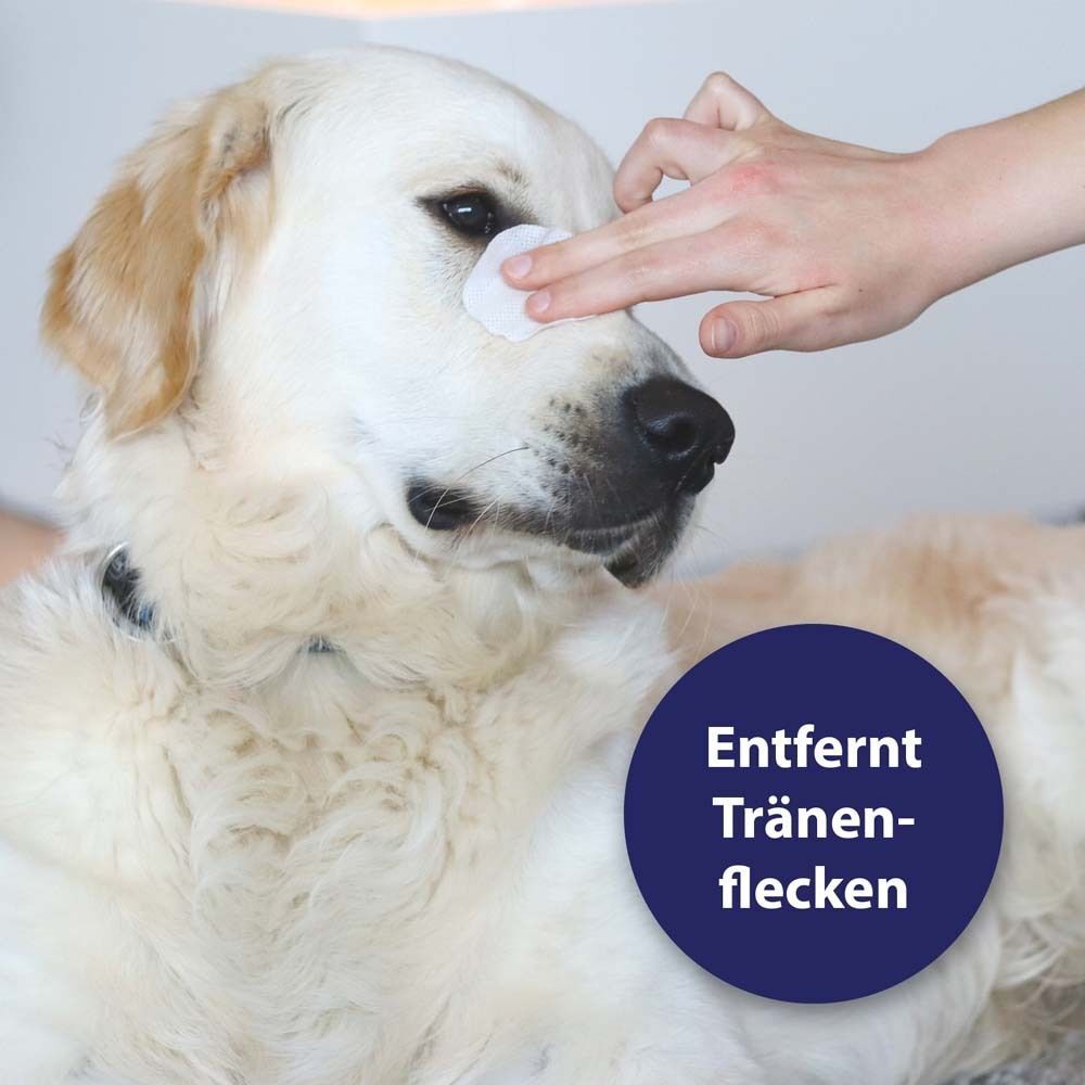 Hund mit Wattepad am Auge. Text: Entfernt Tränenflecken. Person berührt das Auge des Hundes mit einem Wattepad.