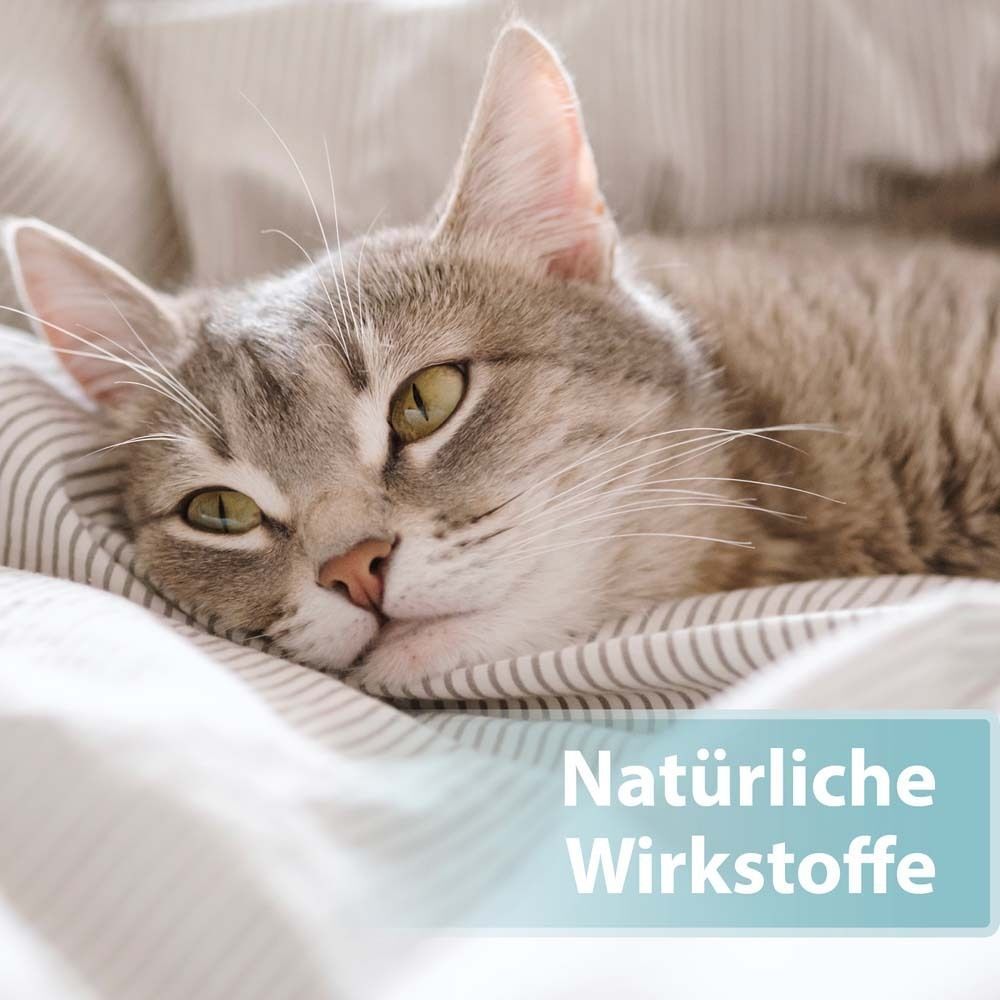 Katze liegt auf einem Bett. Textfeld: Natürliche Wirkstoffe.