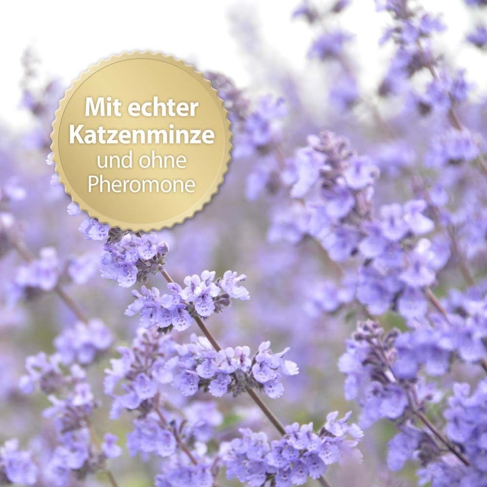 Nahaufnahme von lila Blüten. Goldene Auszeichnung mit Text: Mit echter Katzenminze und ohne Pheromone.