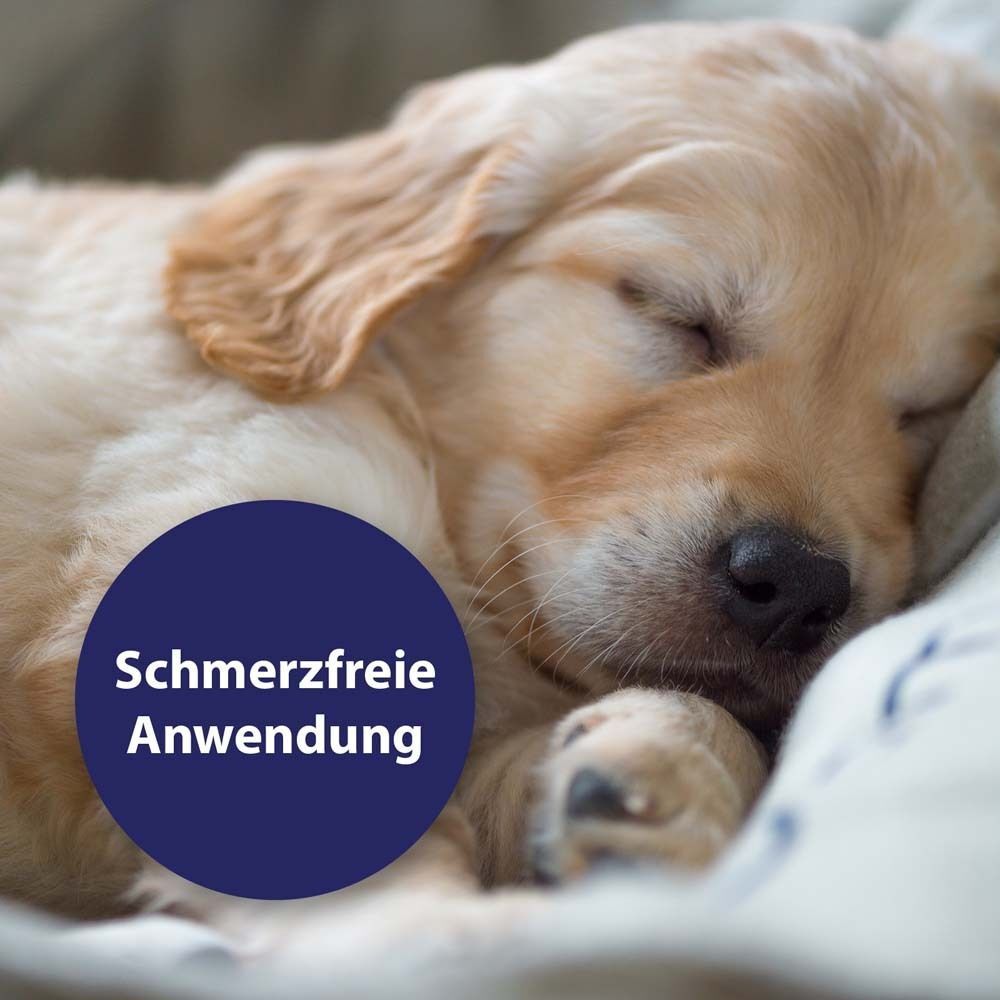Schlafender Welpe. Blauer Kreis mit Text: Schmerzfreie Anwendung.