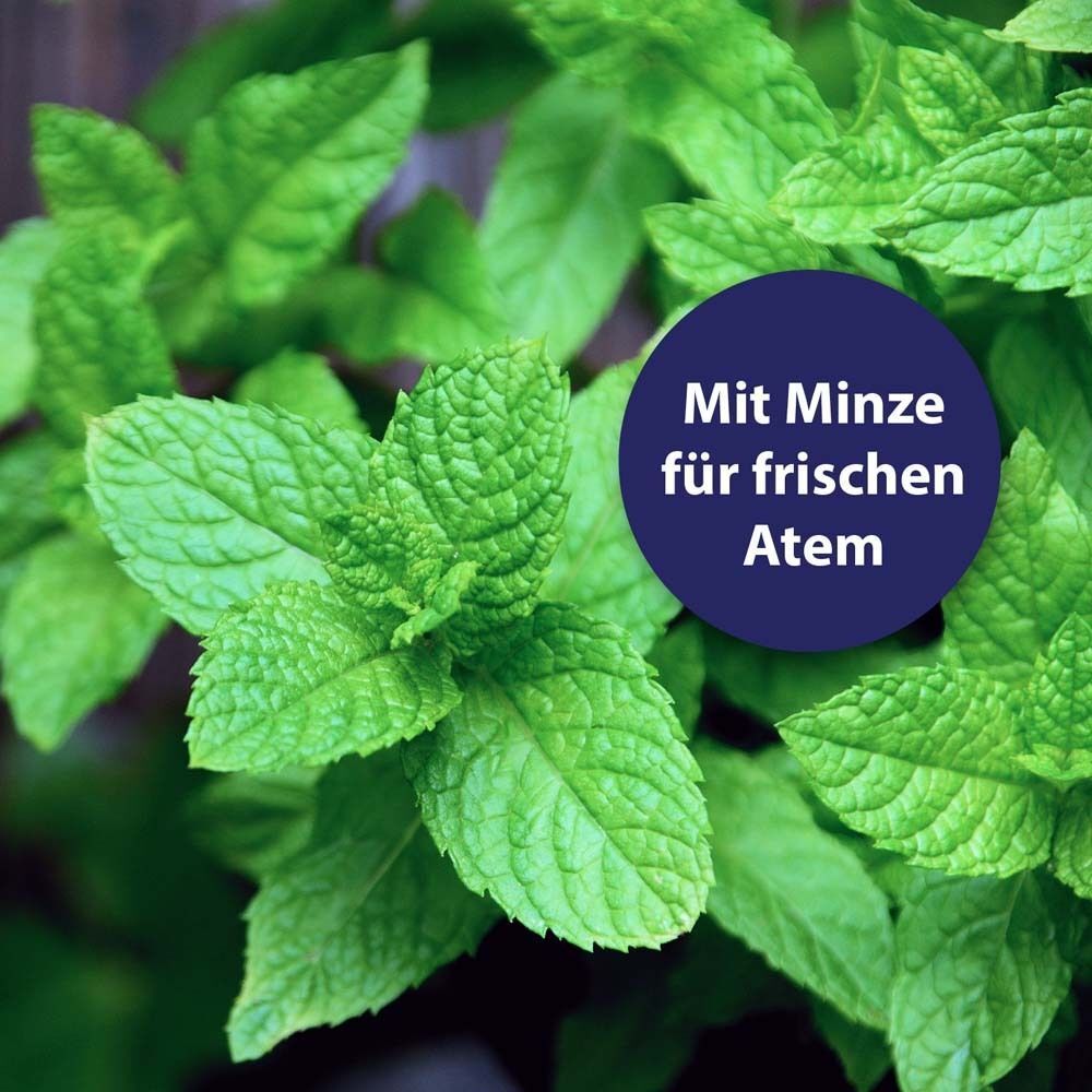 Nahaufnahme von Minzblättern. Aufschrift: Mit Minze für frischen Atem.