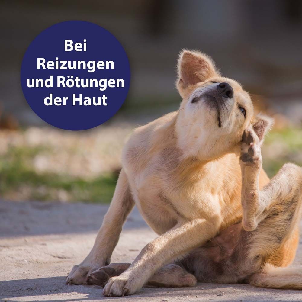 Hund kratzt sich. Text: Bei Reizungen und Rötungen der Haut.