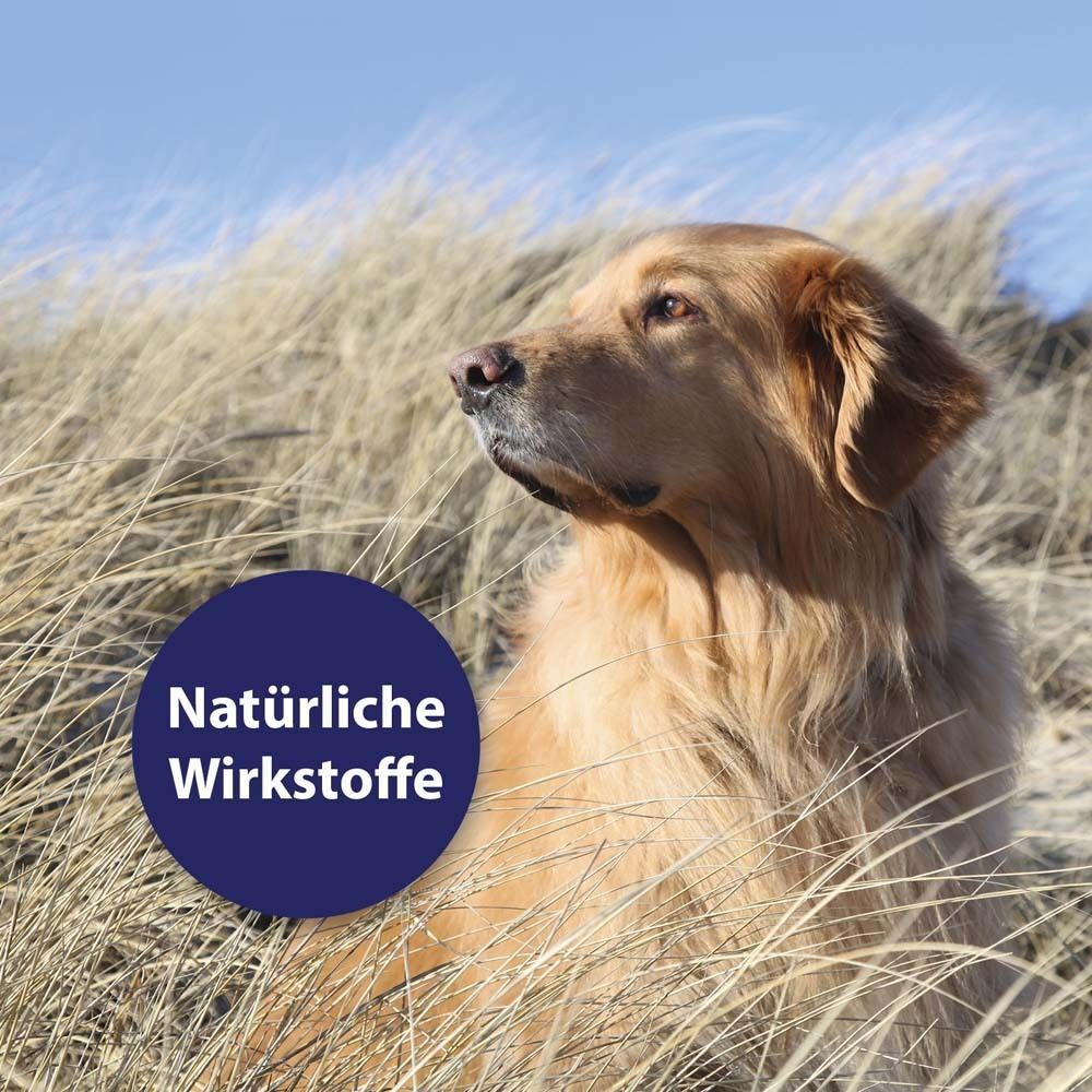Hund im Gras. Text: Natürliche Wirkstoffe.