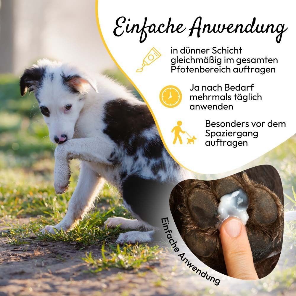 Hund, der Pfote zeigt. Finger trägt Paste auf. Text: Einfache Anwendung. Produkt wird dargestellt.
