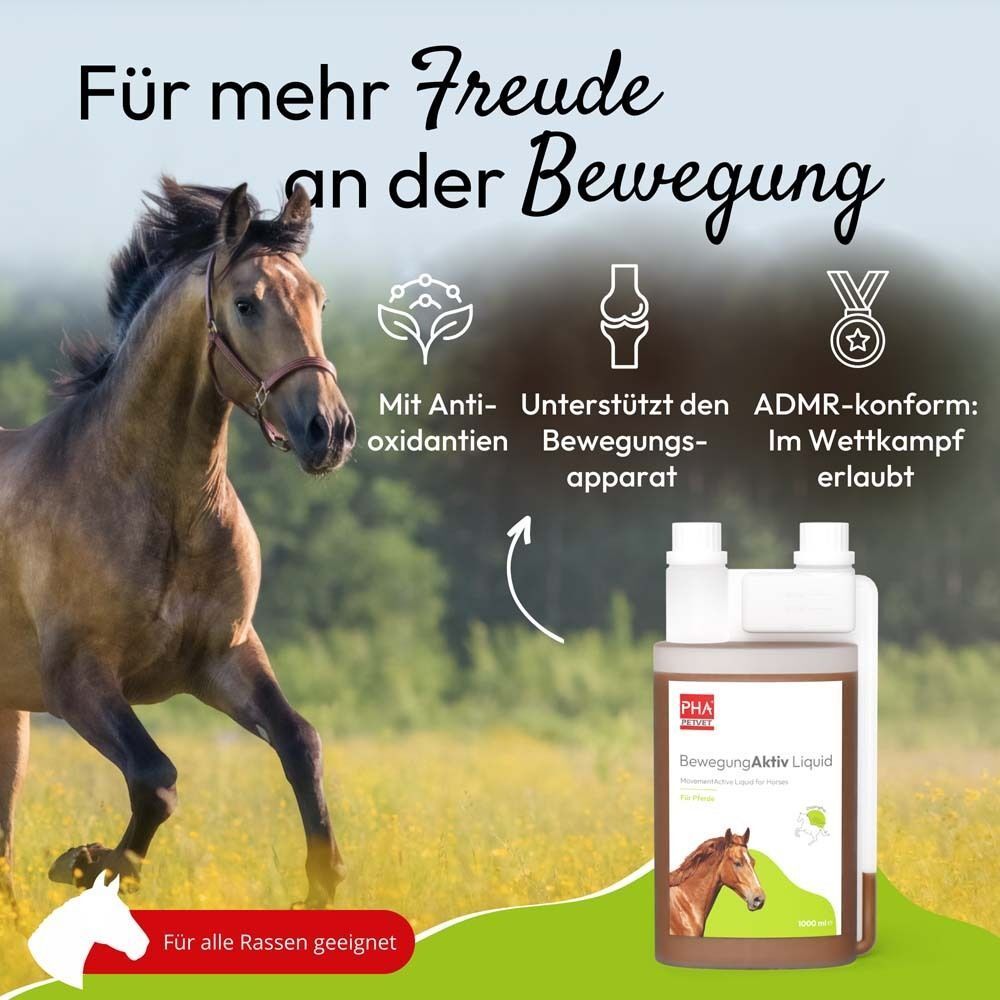 Pferd neben Flasche PHA BewegungAktiv Liquid f.Pferde. Text: Für mehr Freude an der Bewegung. Icons und Text.