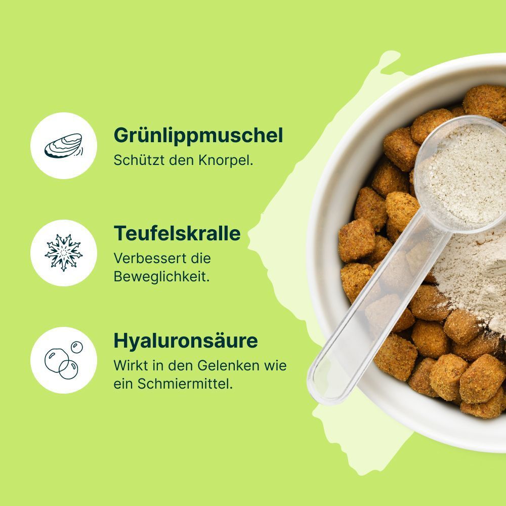 Inhaltsstoffe: Grünlippmuschel, Teufelskralle, Hyaluronsäure. Futter in Schüssel mit Messlöffel.