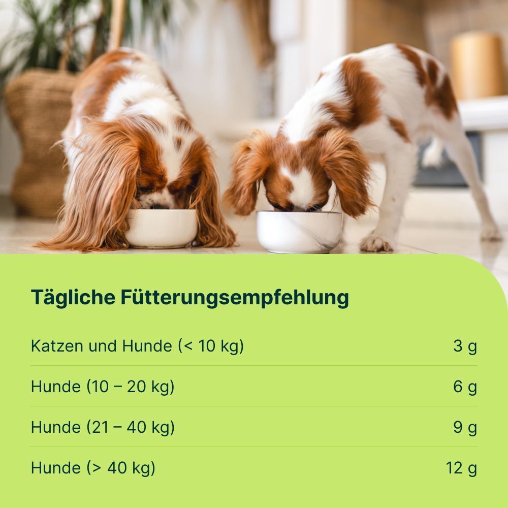 Tägliche Fütterungsempfehlung für Katzen und Hunde nach Gewicht. Text in grüner Box.