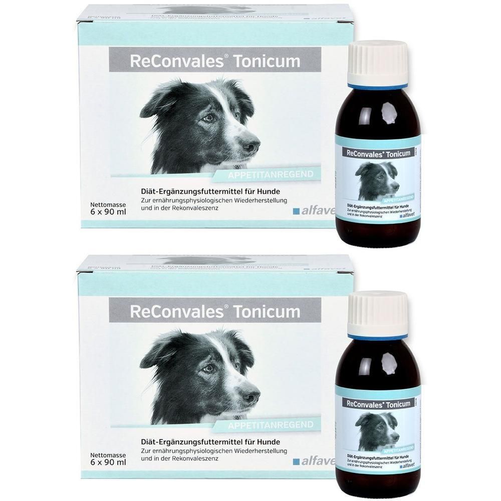 Zwei Packungen und zwei Flaschen ReConvales Tonicum für Hunde. Aufschrift: Diät-Ergänzungsfuttermittel. Flaschen mit blauem Deckel.