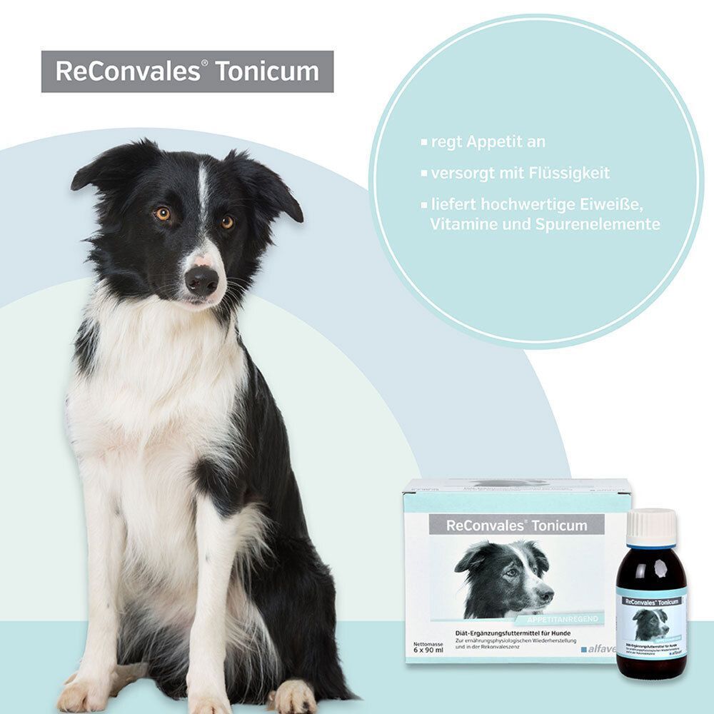 Hund neben Produktverpackung und Flasche ReConvales Tonicum. Text: regt Appetit an, versorgt mit Flüssigkeit, liefert hochwertige Eiweiße.