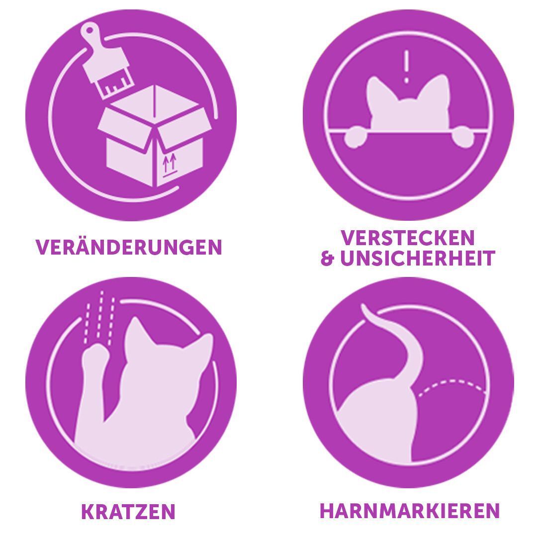 Vier lila Kreise mit Symbolen: Veränderung, Verstecken, Kratzen, Harnmarkieren. Text unter den Symbolen.