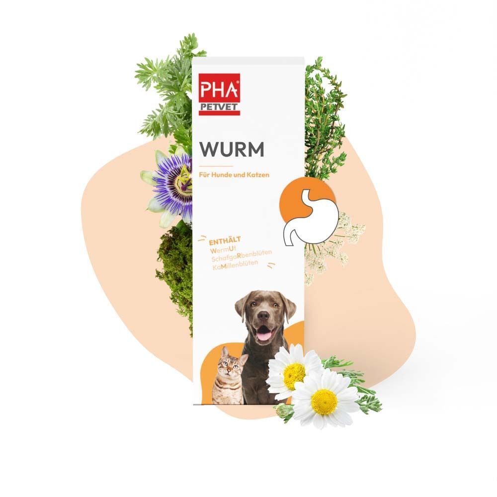 Produktverpackung mit Kräutern und Illustrationen. Logo und Produktname sind sichtbar.