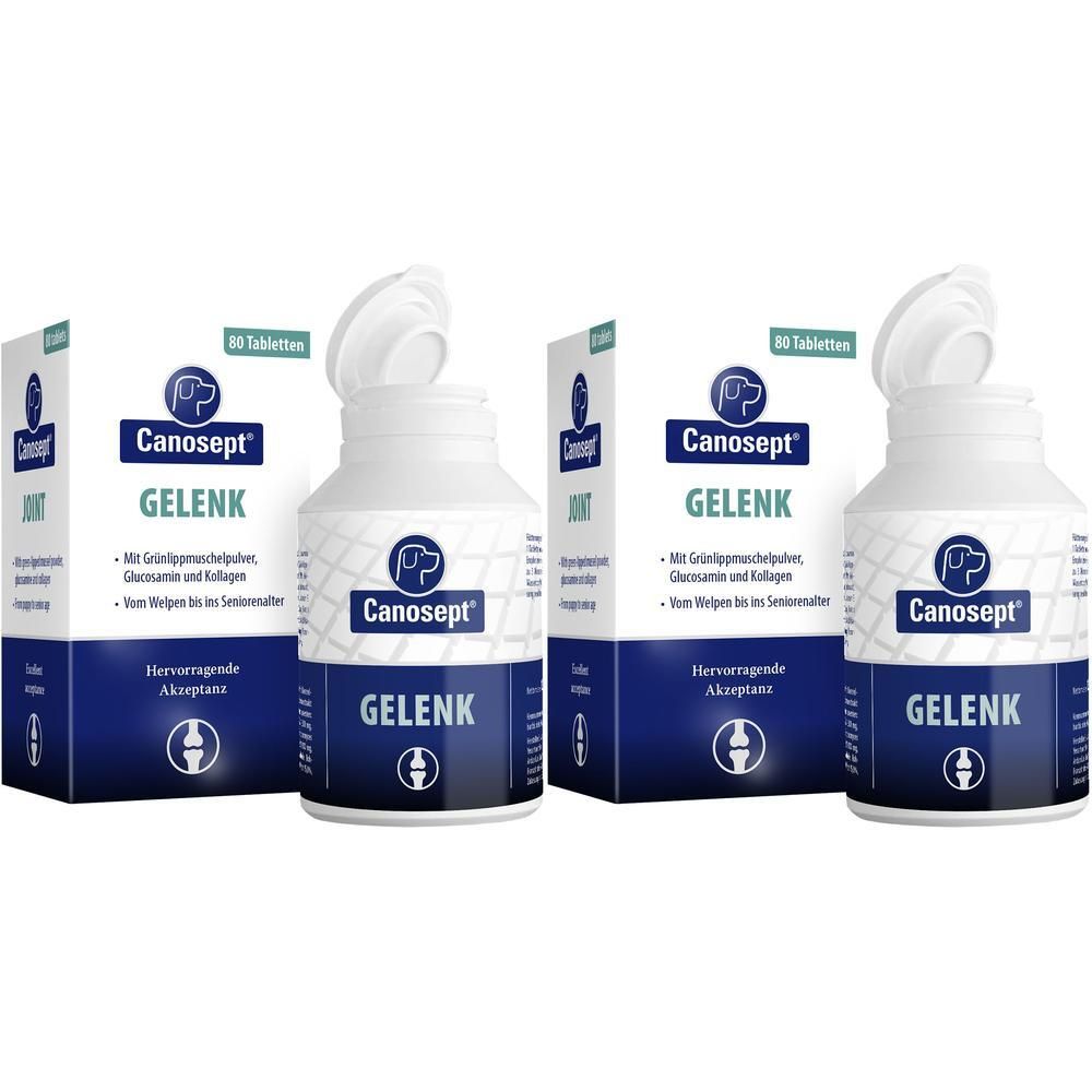 Mehrere Flaschen und Kartons CANOSEPT Gelenk Tabletten. Weiße Flaschen mit blauem Etikett. Kartons mit Produktnamen und Logo.