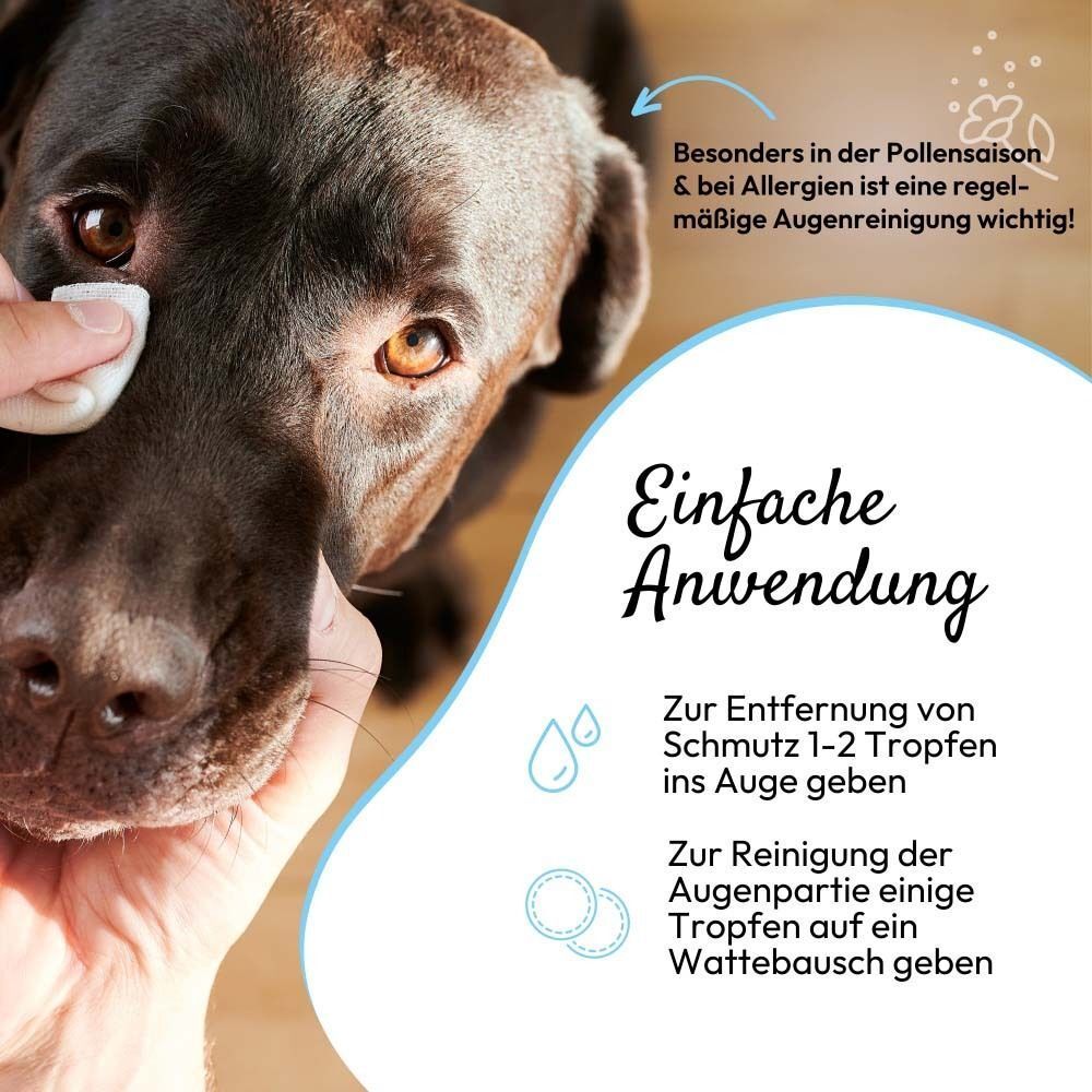 Hand reinigt Hundeauge mit Wattepad. Text: Einfache Anwendung. Tropfen- und Wattepad-Icons.