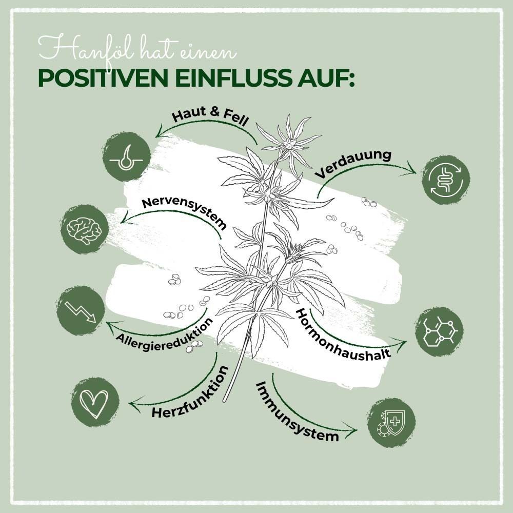 Grafik mit Icons und Text. Hanf hat positiven Einfluss auf: Haut & Fell, Verdauung, Nervensystem, etc.
