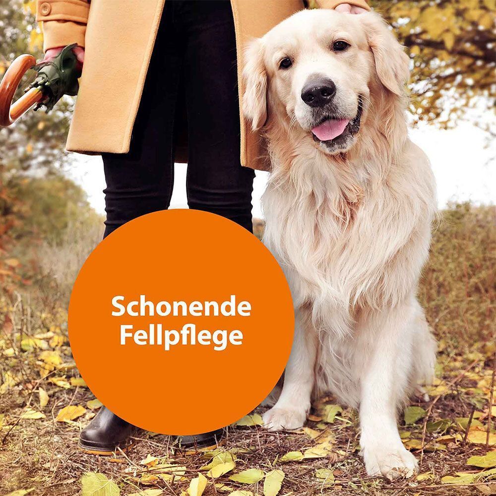 Goldener Retriever mit Person. Text: Schonende Fellpflege.