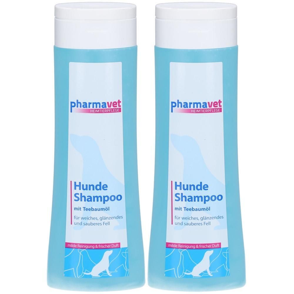 Zwei Flaschen Hundeshampoo mit Teebaumöl. Hellblaue Flüssigkeit in zylindrischen Flaschen mit weißem Deckel. Aufschrift: pharmavet, Hunde Shampoo.