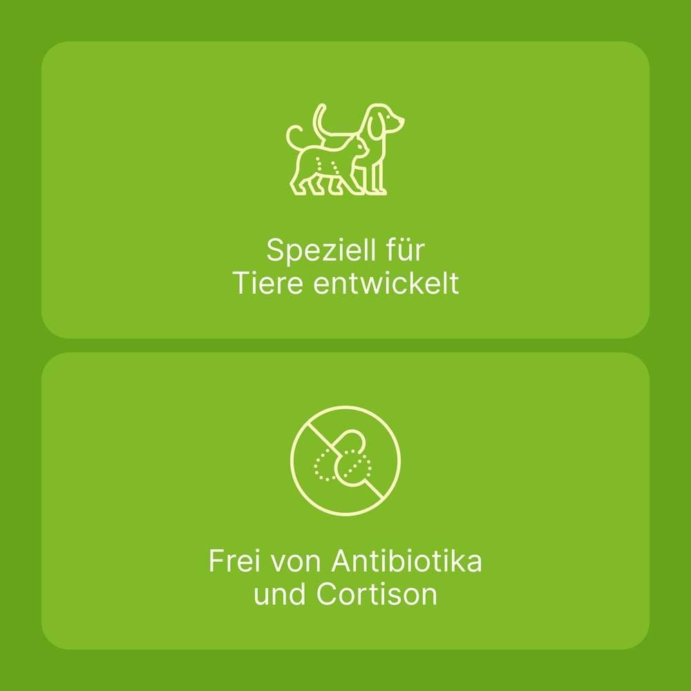 Zwei grüne Felder mit Text und Symbolen. Oben: Speziell für Tiere entwickelt. Unten: Frei von Antibiotika und Cortison.