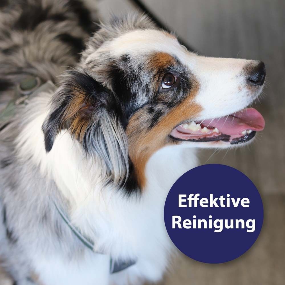 Hund mit geöffnetem Maul. Blauer Kreis mit Text: Effektive Reinigung.