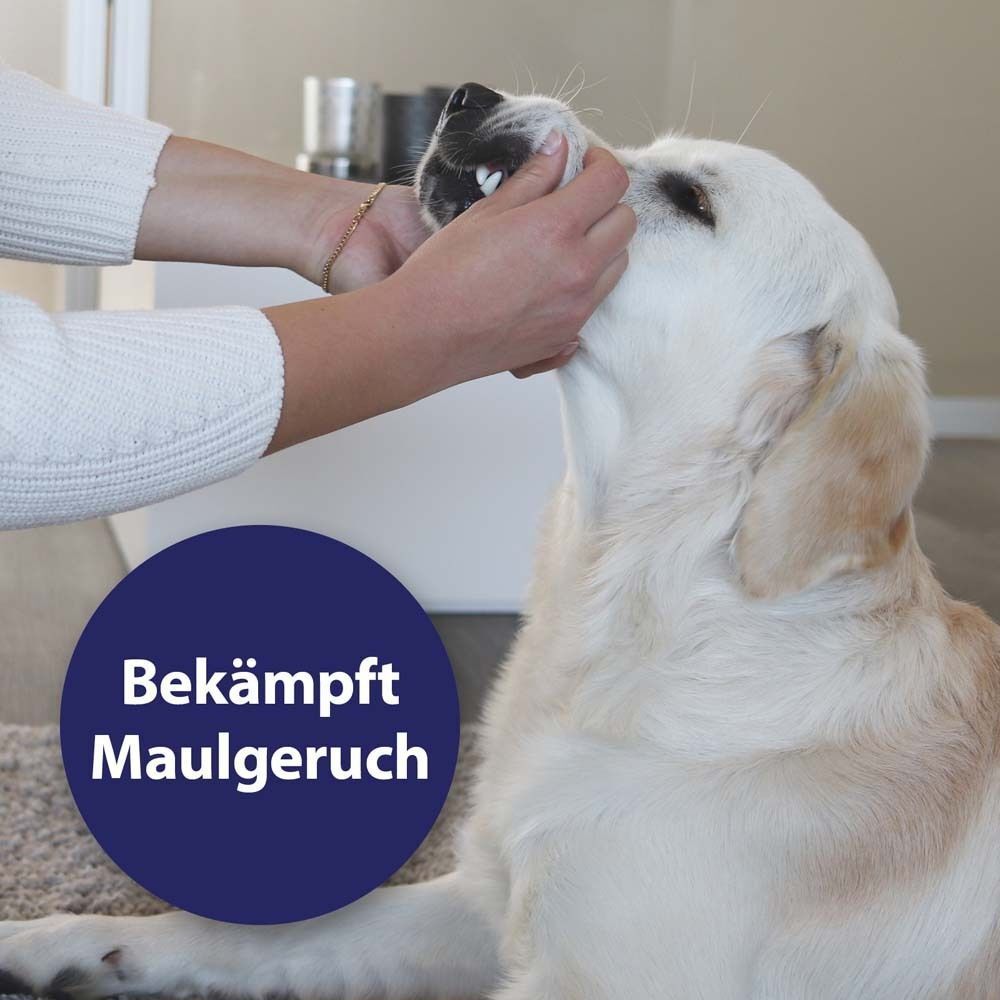 Hände öffnen das Maul eines Hundes. Blauer Kreis mit Text: Bekämpft Maulgeruch.