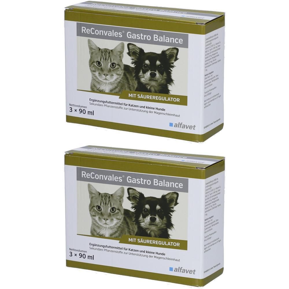 Zwei Kartons ReConvales Gastro Balance. Aufdruck: Katze und Hund, "MIT SÄUREREGULATOR", 3 x 90 ml. Marke: alfavet.