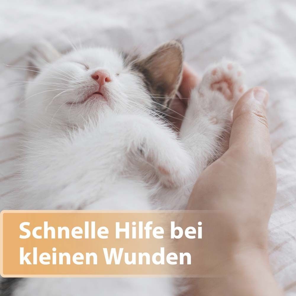 Kätzchen in menschlicher Hand. Text: Schnelle Hilfe bei kleinen Wunden.