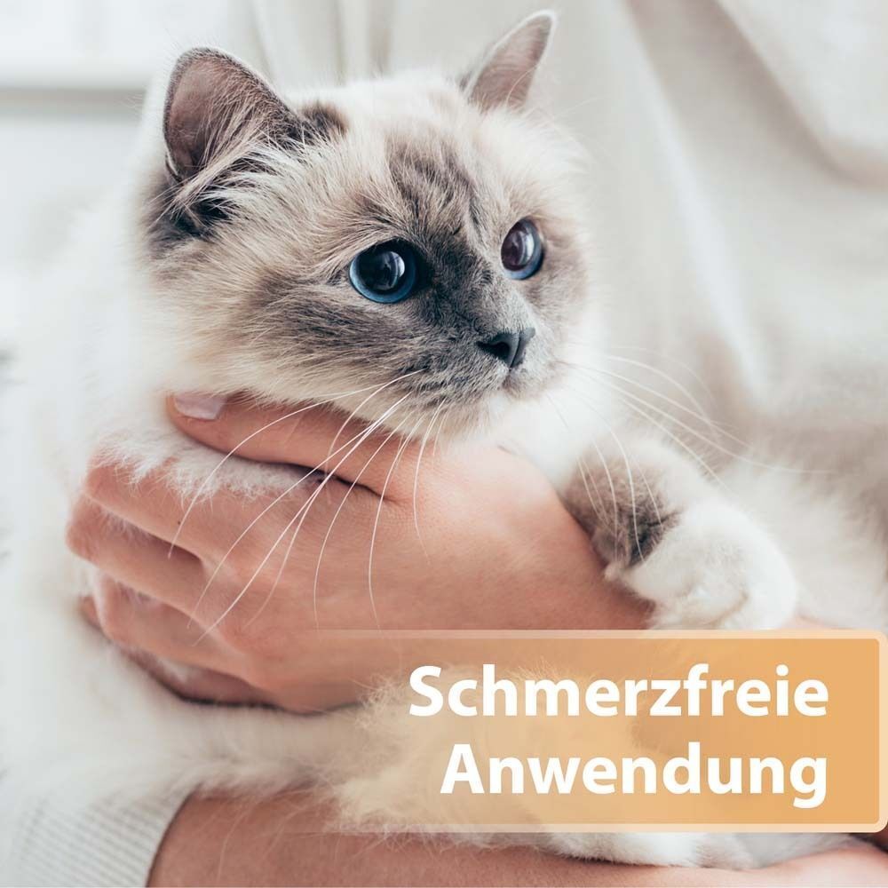 Katze in menschlichen Händen. Text: Schmerzfreie Anwendung.