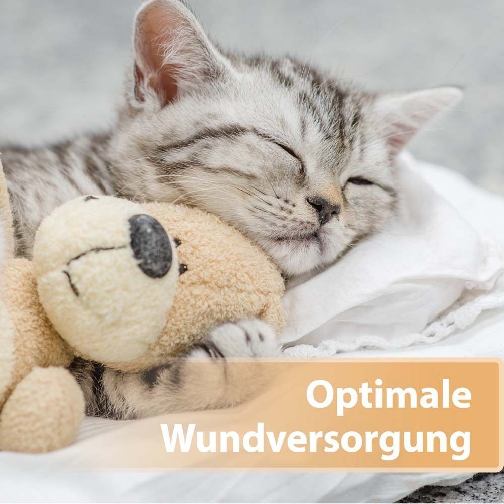 Schlafendes Kätzchen mit Teddybär. Text: Optimale Wundversorgung.
