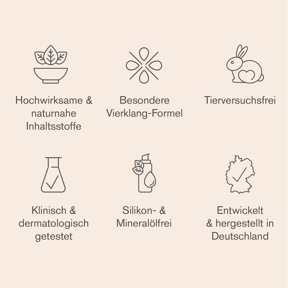 Sechs Icons, die die Vorteile der skjur® Intensive Tagespflege darstellen.