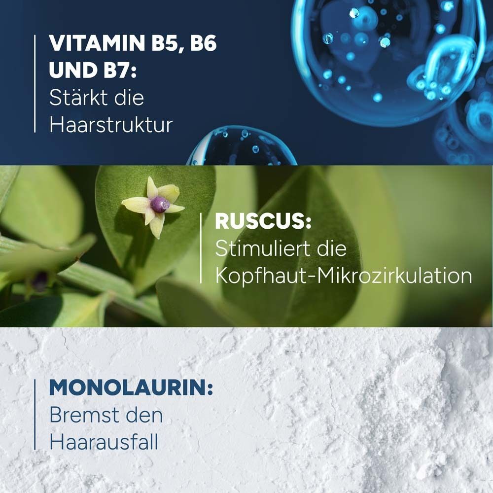 Grafiken zeigen Vitamine B5, B6, B7, Ruscus und Monolaurin.