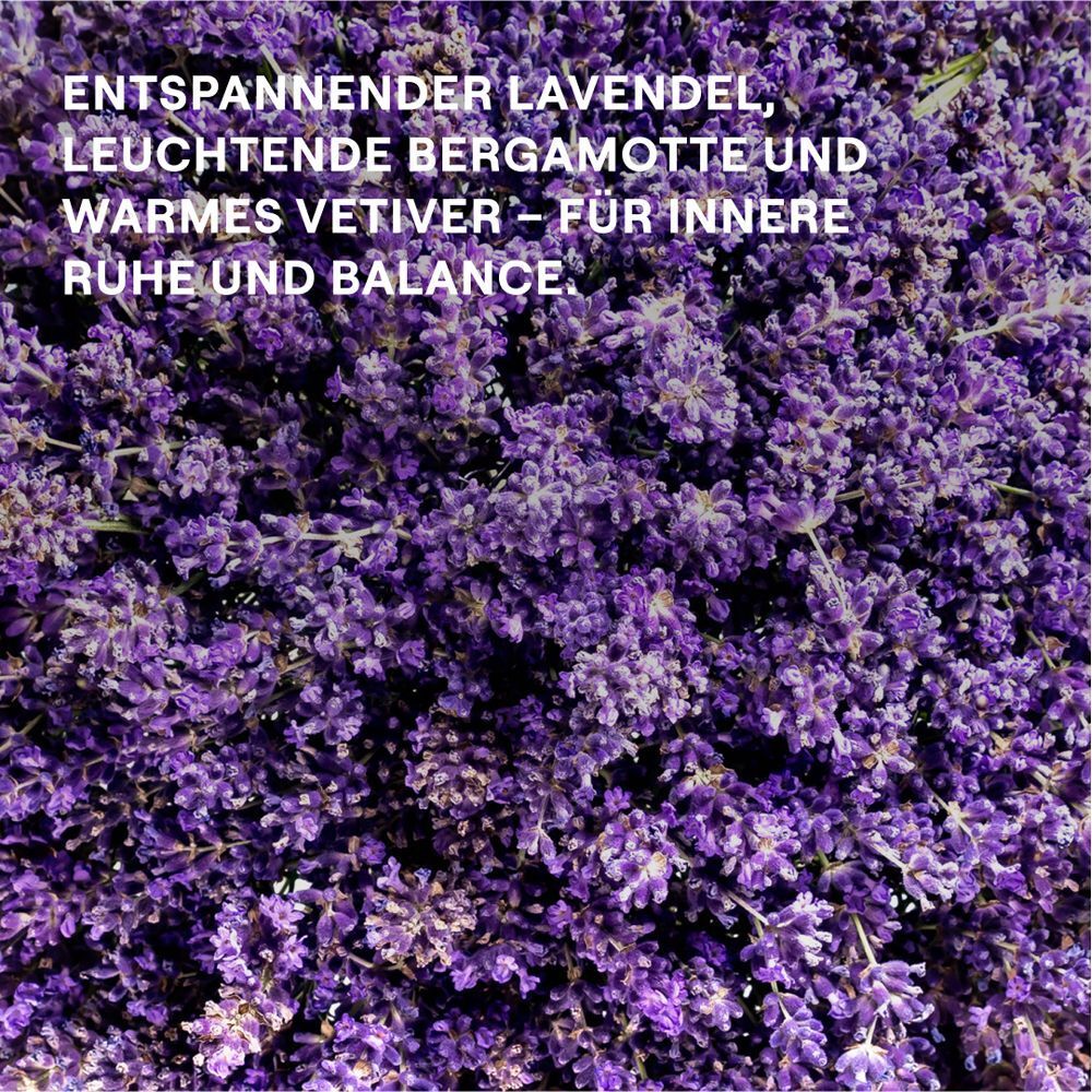 Nahaufnahme von Lavendelblüten mit Text über entspannenden Duft von Lavendel, Bergamotte und Vetiver.