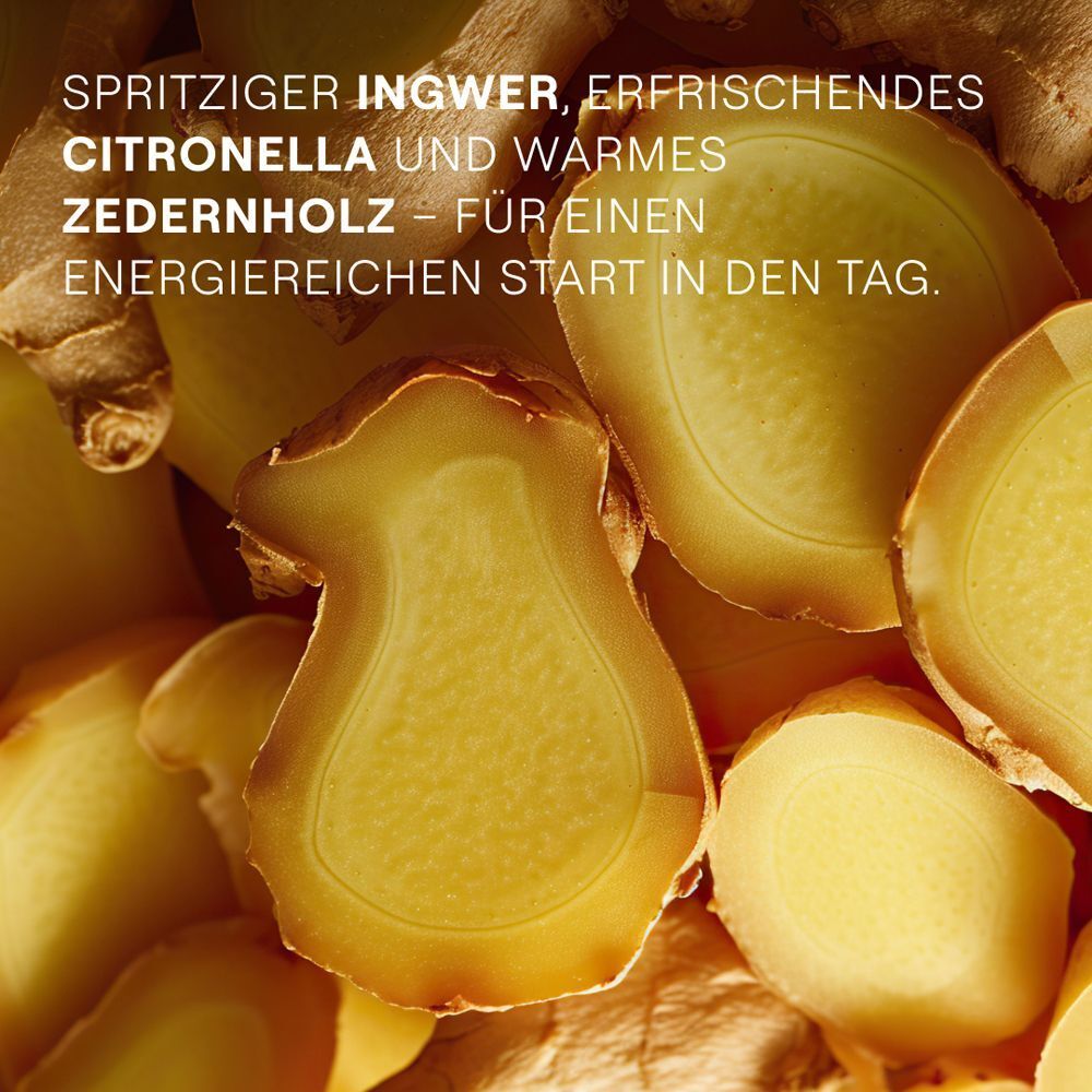 Nahaufnahme von Ingwerscheiben und ganzen Ingwerwurzeln. Text: Spritziger Ingwer, erfrischendes Citronella.
