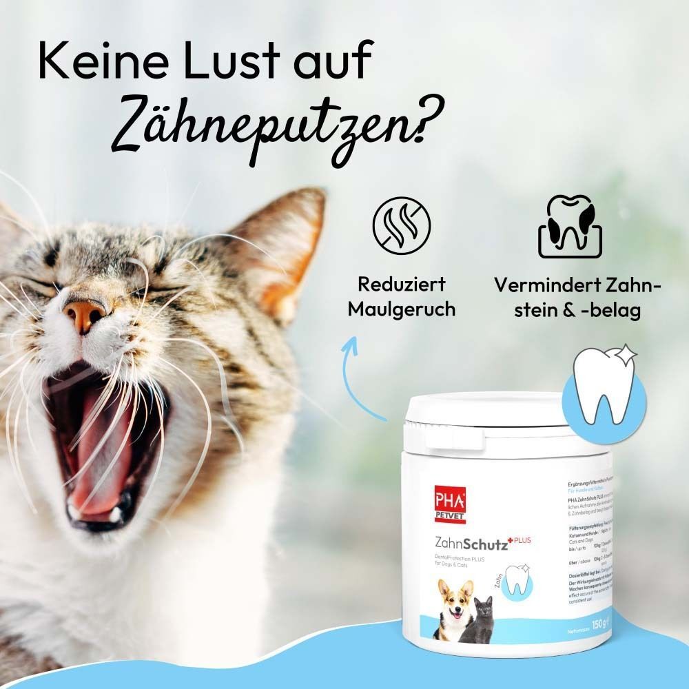 Gähnende Katze neben einem Behälter PHA ZahnSchutz PLUS. Symbole für Mundgeruch und Zahnstein.