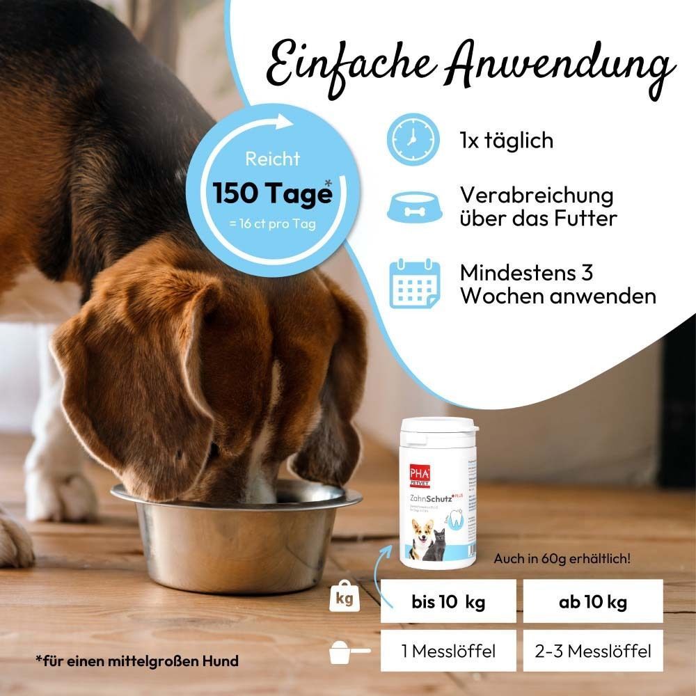 Hund frisst aus einem Napf. Informationen zur einfachen Anwendung von PHA ZahnSchutz PLUS.