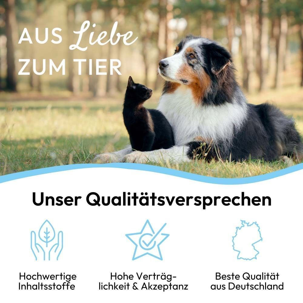 Hund und Katze liegen im Gras. Qualitätsversprechen: Hochwertige Inhaltsstoffe, Verträglichkeit, Qualität aus Deutschland.