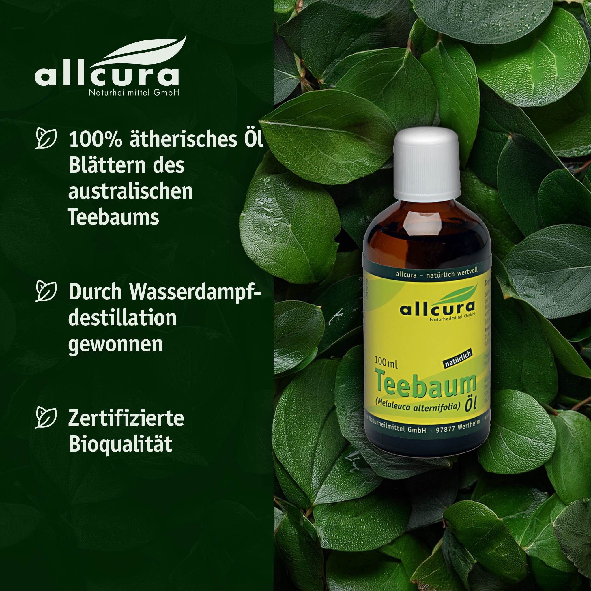 Flasche allcura Teebaumöl mit Blättern im Hintergrund. Informationen zu 100% ätherischem Öl und Bioqualität.