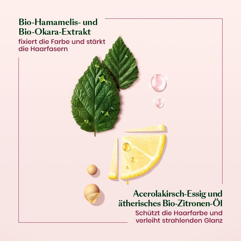 Zutaten der Maske: Blätter, Zitrone, Okara und Hamamelis.