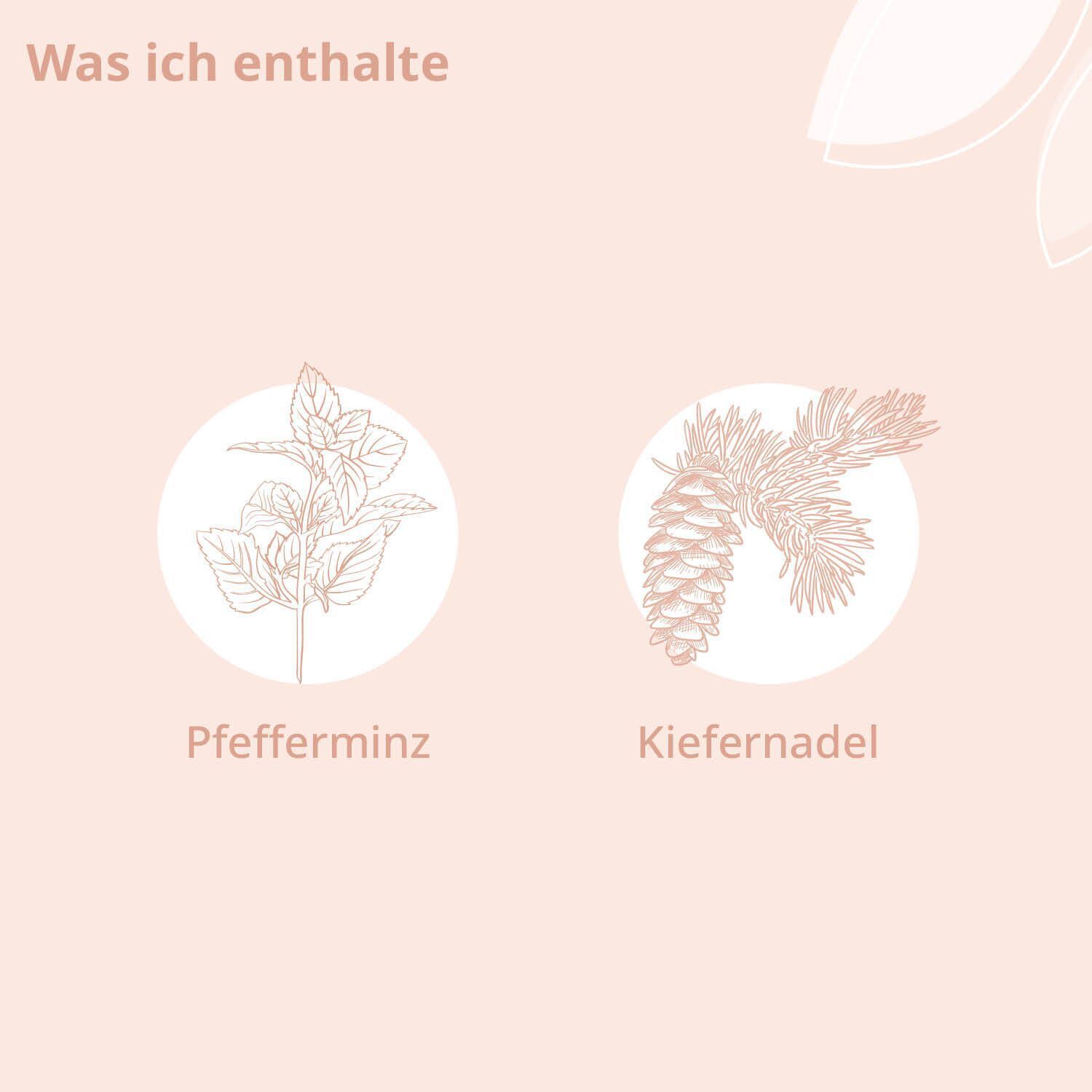 Illustrationen von Pfefferminze und Kiefernzapfen, die Inhaltsstoffe des Roll-Ons darstellen.