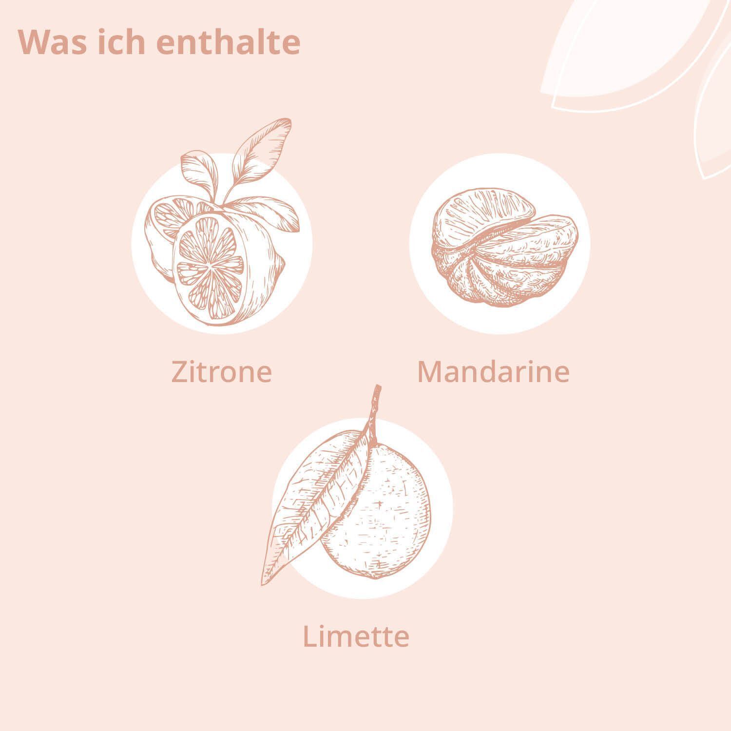 Illustrationen von Zitrone, Mandarine und Limette.