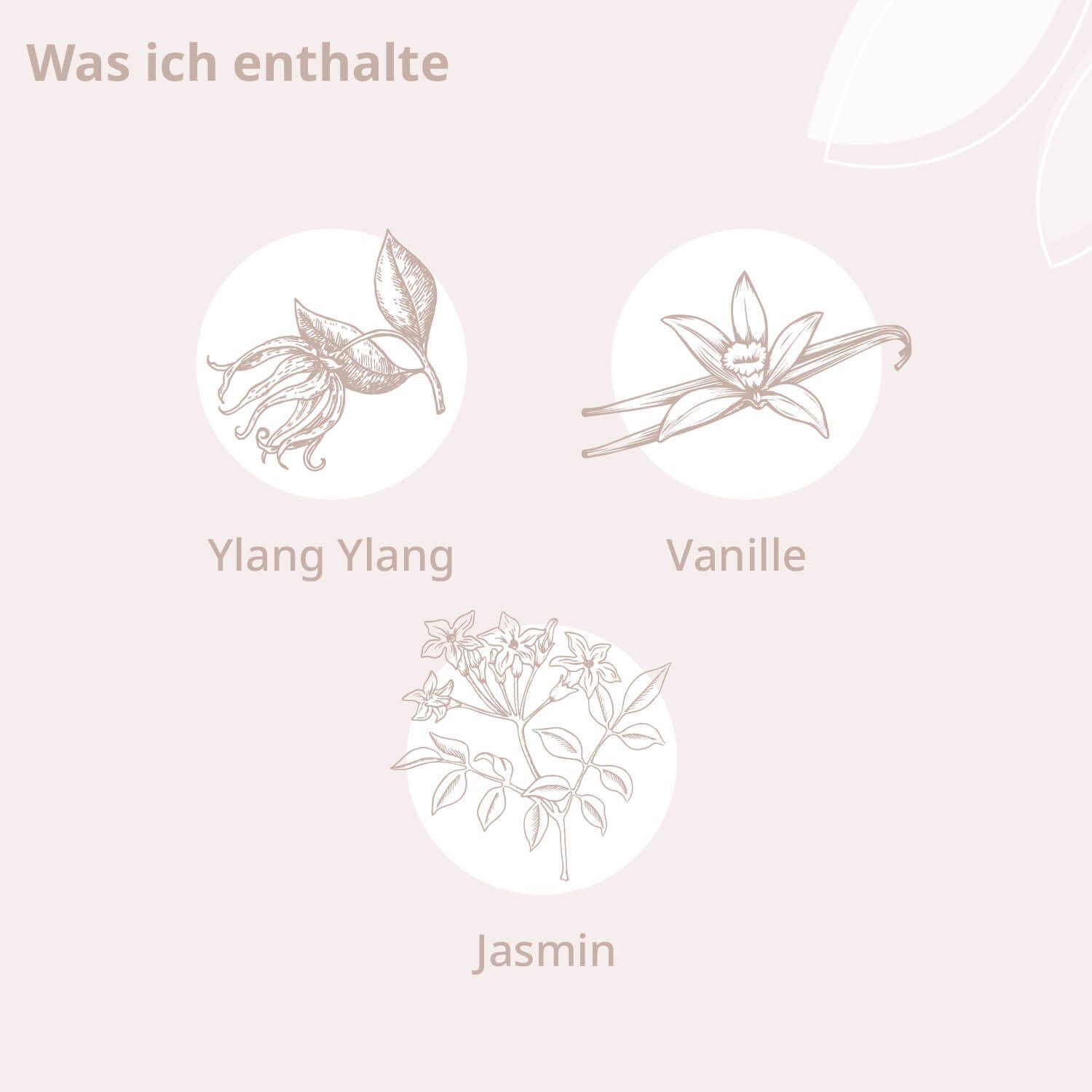 Illustrationen von Ylang Ylang, Vanille und Jasmin.