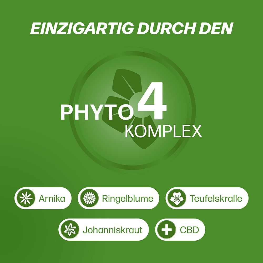 Grafik 'Phyto 4 Komplex' mit Arnika, Ringelblume, Teufelskralle und Johanniskraut.