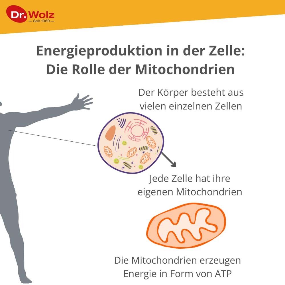 Zell Oxygen® plus