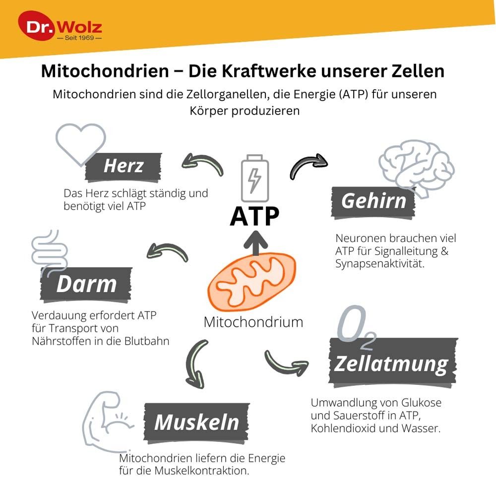 Zell Oxygen® plus