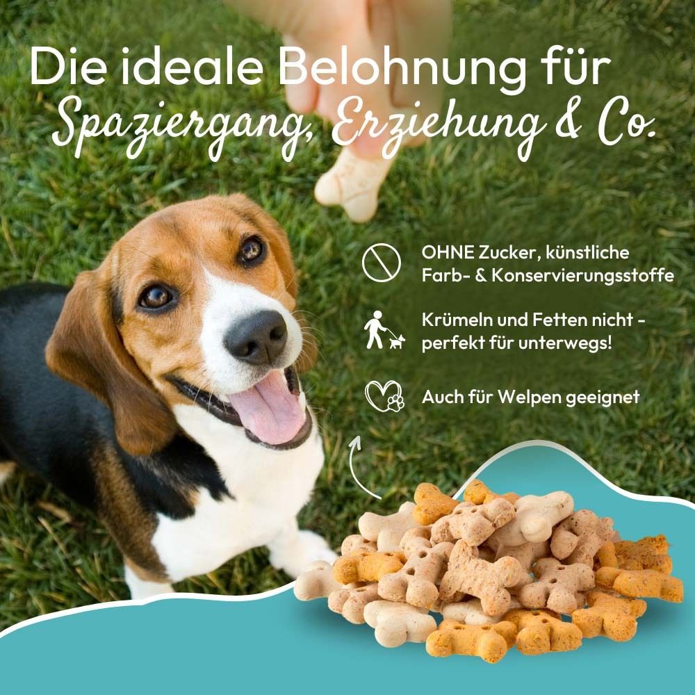 Hund mit Snacks. Text: Die ideale Belohnung. Ohne Zucker, künstliche Farb- & Konservierungsstoffe. Auch für Welpen.