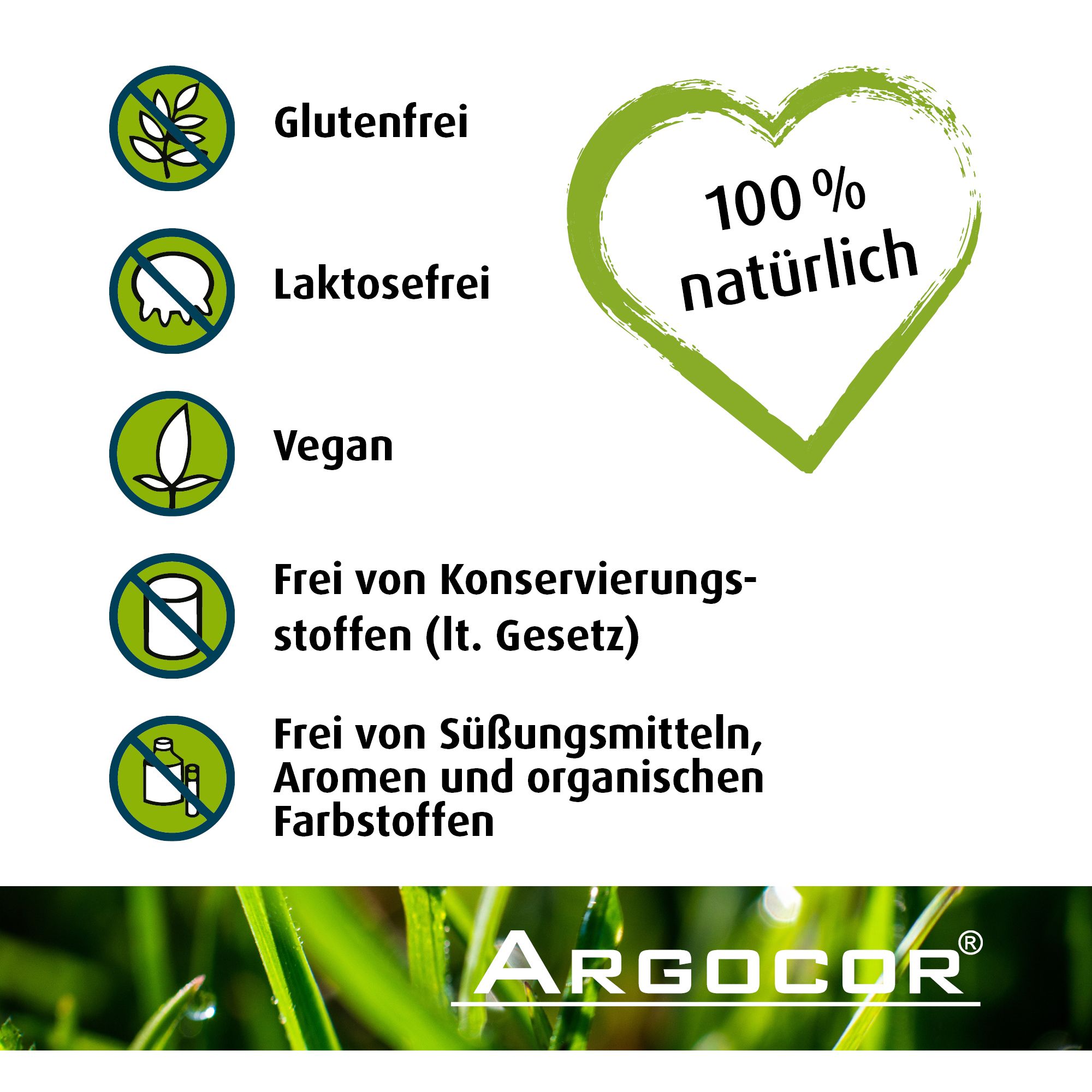 Infografik mit Logos. Glutenfrei, laktosefrei, vegan. Frei von Konservierungsstoffen, Süßungsmitteln, Aromen.