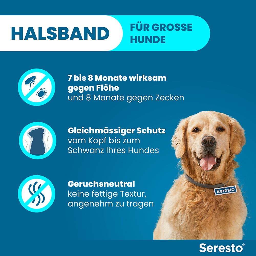 Seresto Halsband für große Hunde, schützt 7-8 Monate vor Flöhen und Zecken, geruchsneutral.