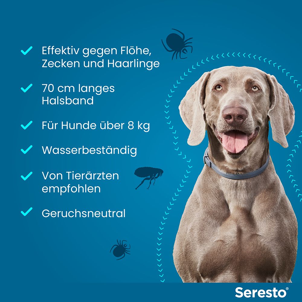 Hundehalsband Seresto, 70 cm, wasserbeständig, geruchsneutral, empfohlen von Tierärzten.
