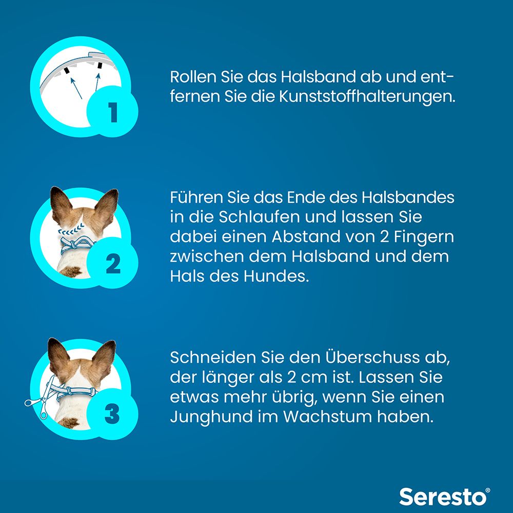 Anleitung zum Anlegen eines Seresto-Halsbandes für Hunde: Abrollen, Kunststoffhalterungen entfernen, anlegen, Abstand prüfen, Überschuss abschneiden.