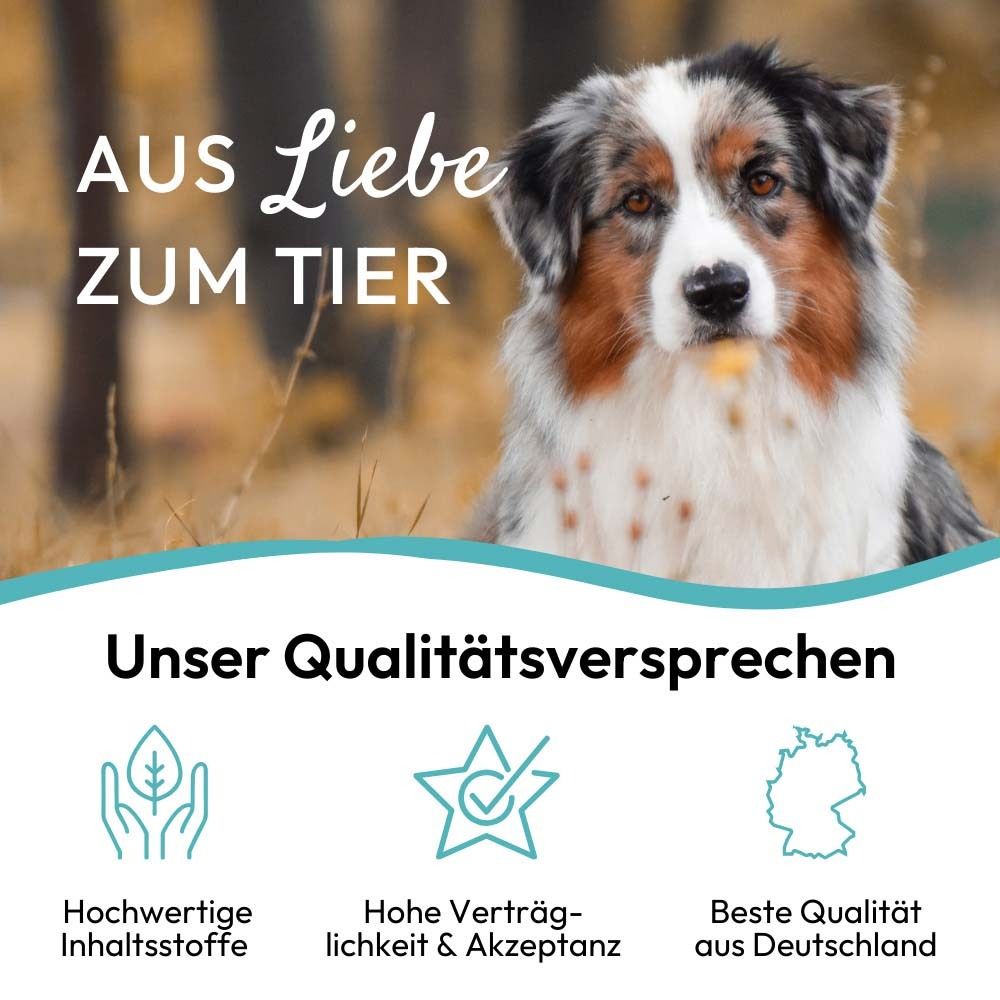 Werbebild mit Hund. Text: Aus Liebe zum Tier. Unser Qualitätsversprechen: Hochwertige Inhaltsstoffe.