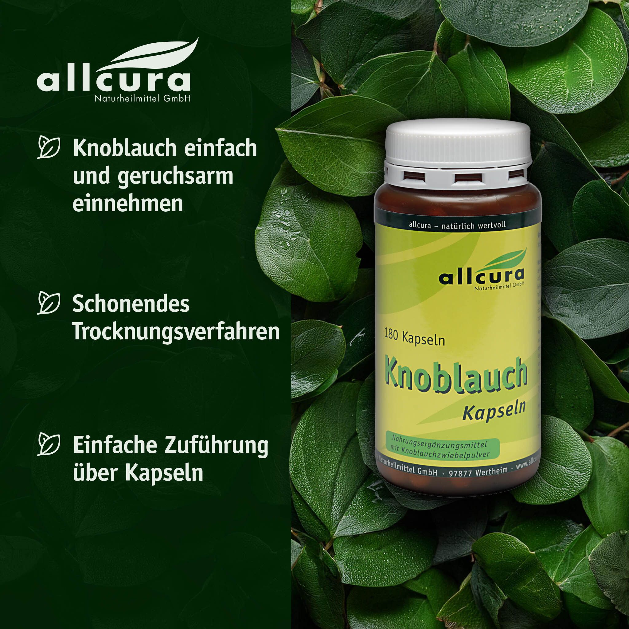 Braune Flasche mit weißen Deckel. Aufschrift: Knoblauch Kapseln. 180 Kapseln. Marke: allcura. Hintergrund: grüne Blätter.